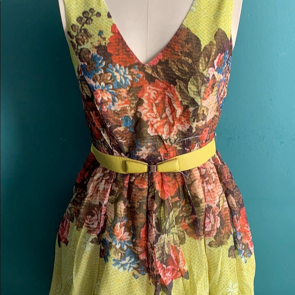 Darling Spring Dress - Picture 3 of 6